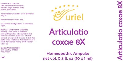 Articulatio Coxae 8x Ampule (Articulatio Coxae 8 Ampule)